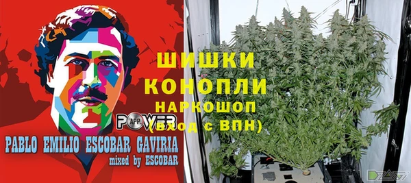 трава Алексеевка