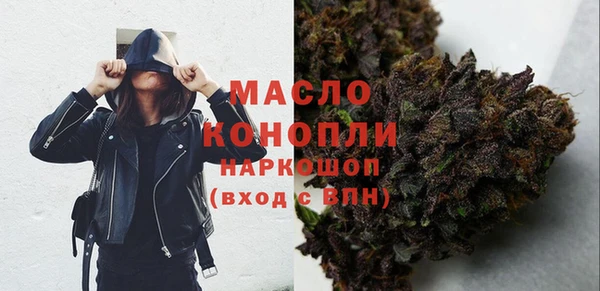 шишки Абаза