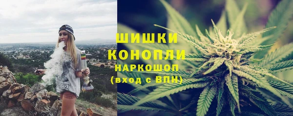 шишки Абаза