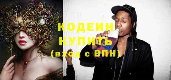 шишки Абаза