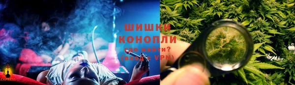 шишки Абаза