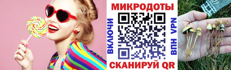 Псилоцибиновые грибы Cubensis Донской