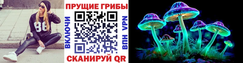 Галлюциногенные грибы Psilocybe  Донской 